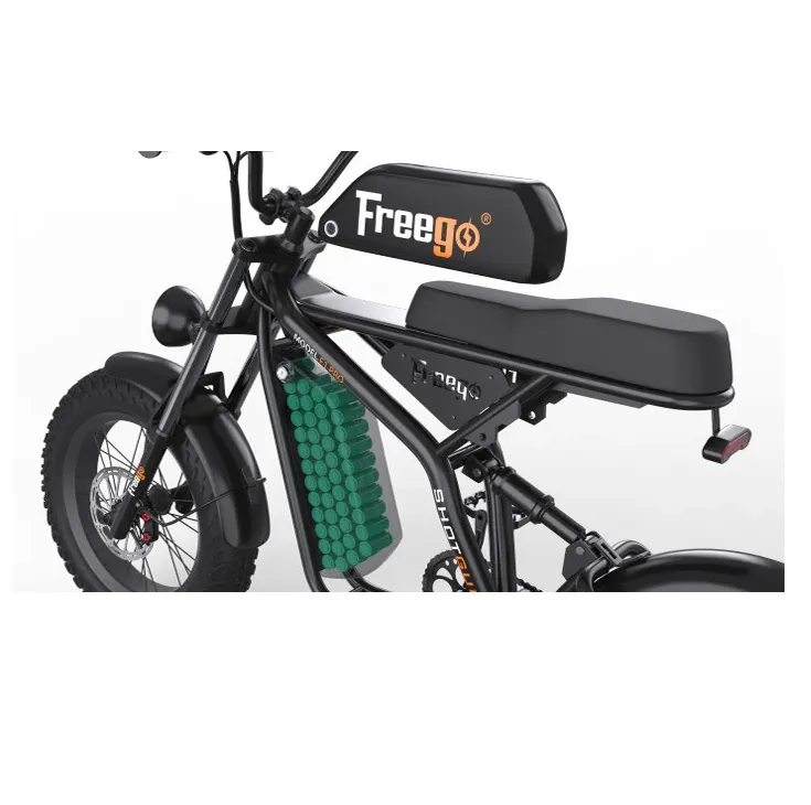 Freego 750W 48V F1 Off-Road Mountain Fat Tire Electric Bike